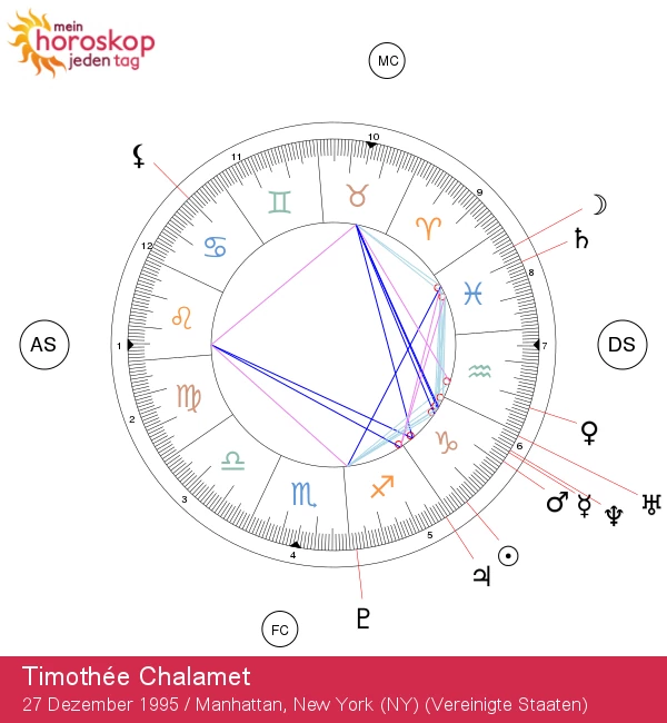 Entdecken Sie die Eigenschaften von Timothée Chalamet als Steinbock – Astrologische Einblicke und Ch