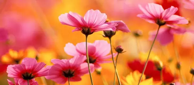 Horoskop vom Dienstag 1 September 2026